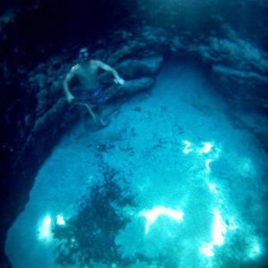 Meet your Posher, Neil